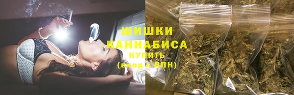 индика Алзамай