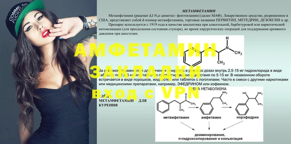индика Алзамай