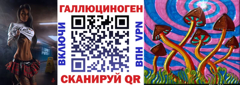закладка  сайты даркнета как зайти  Галлюциногенные грибы Psilocybine cubensis  Шумиха 